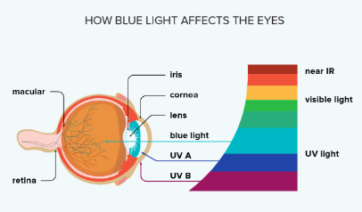 effect of blue light